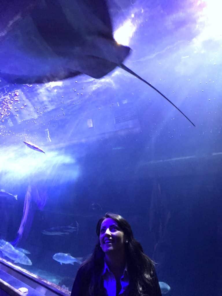 O que fazer em San Francisco California - Aquarium of the Bay