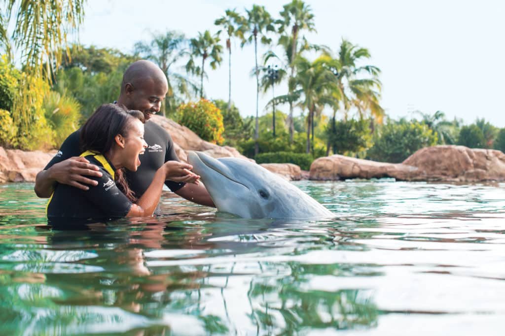 Casal com golfinho na experiência Dolphin Swim, no Discovery Cove
