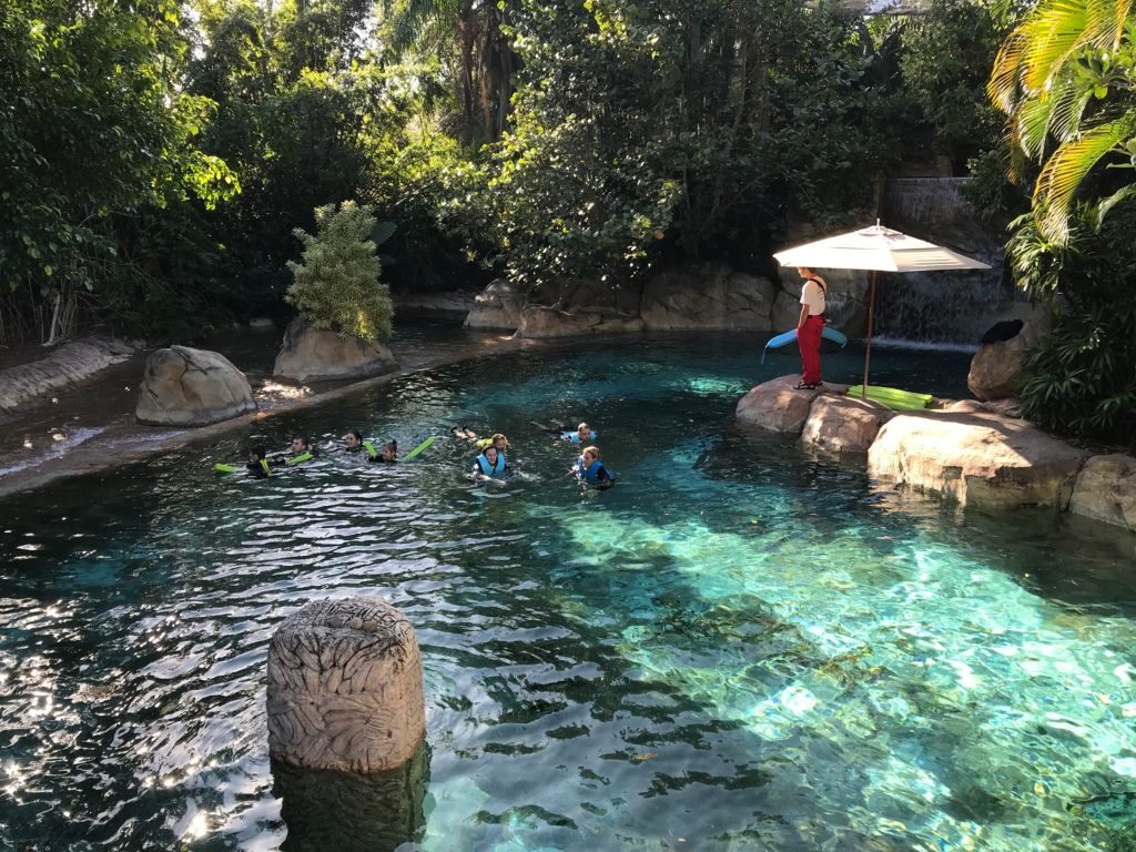 Lago do Discovery Cove com pessoas nadando e salva vidas de plantão ao lado, em pedra