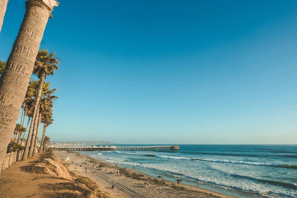 Imagem da praia do Pacific Beach, durante o dia com mar do lado direito, do lado esquerdo faixa de areia larga com pessoas caminhando e alguns coqueiros. 